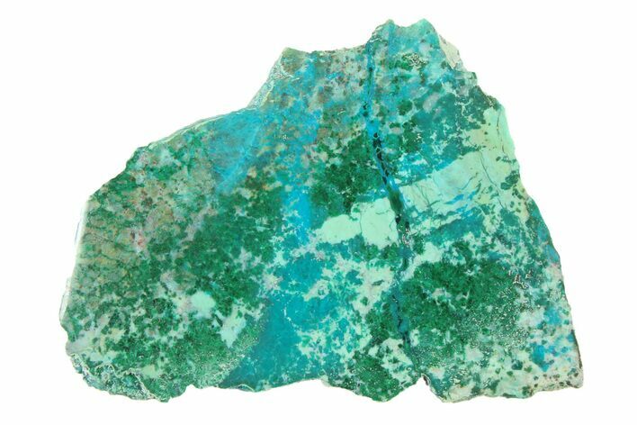 Polished Blue River Chrysocolla Section - Arizona #337419
